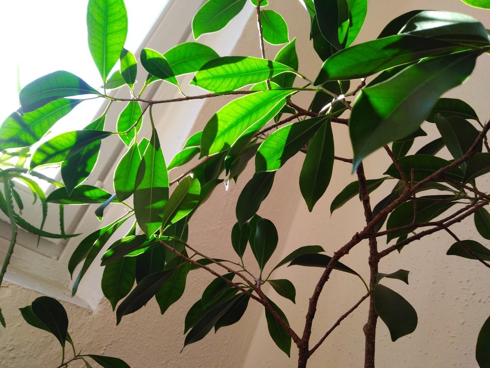 Photograph by Татьяна Ситникова