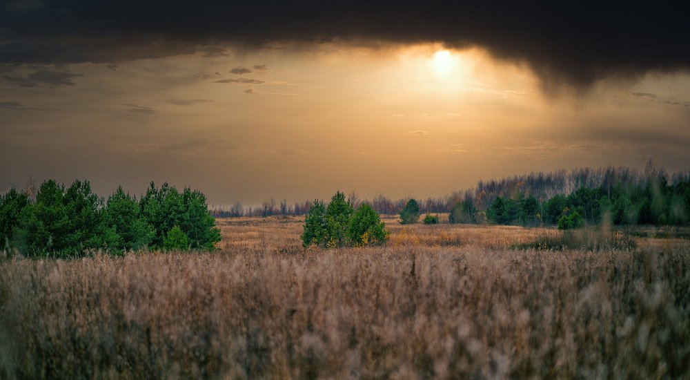 Photograph by Дмитрий Седов