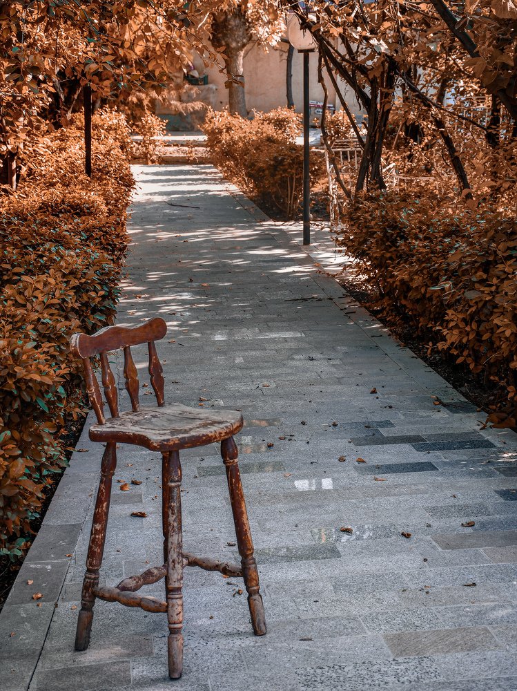 Photograph by hosseini farash seyedeh mohadeseh