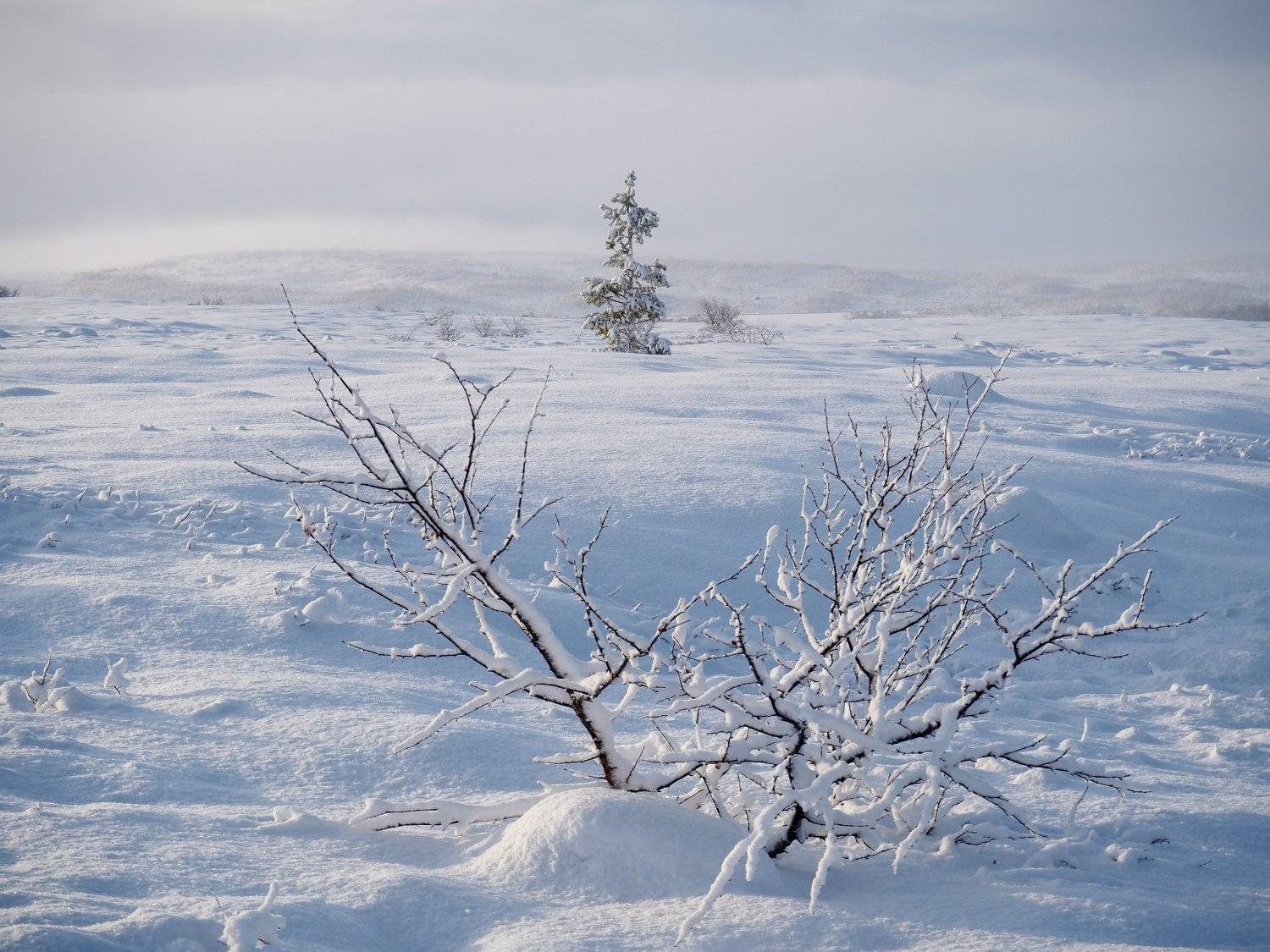 Photo #5367747