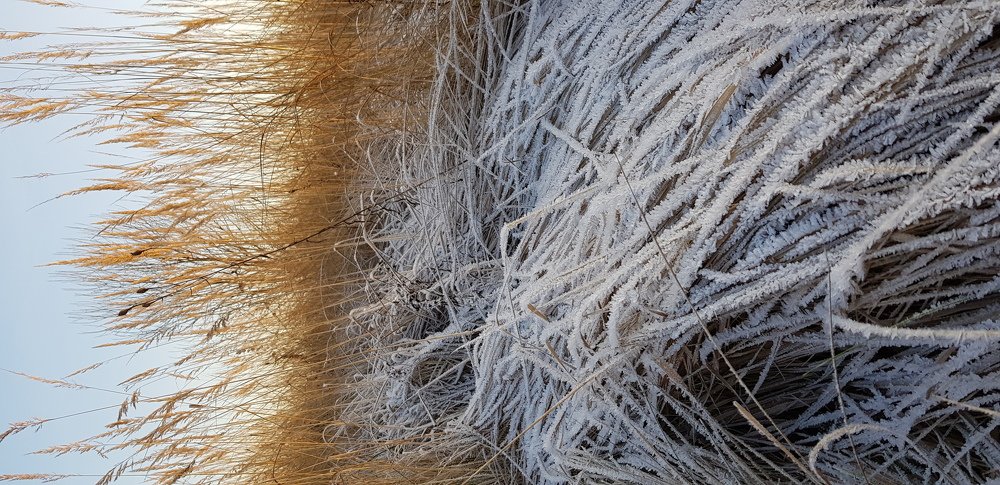 Photograph by Нина Кузьмина