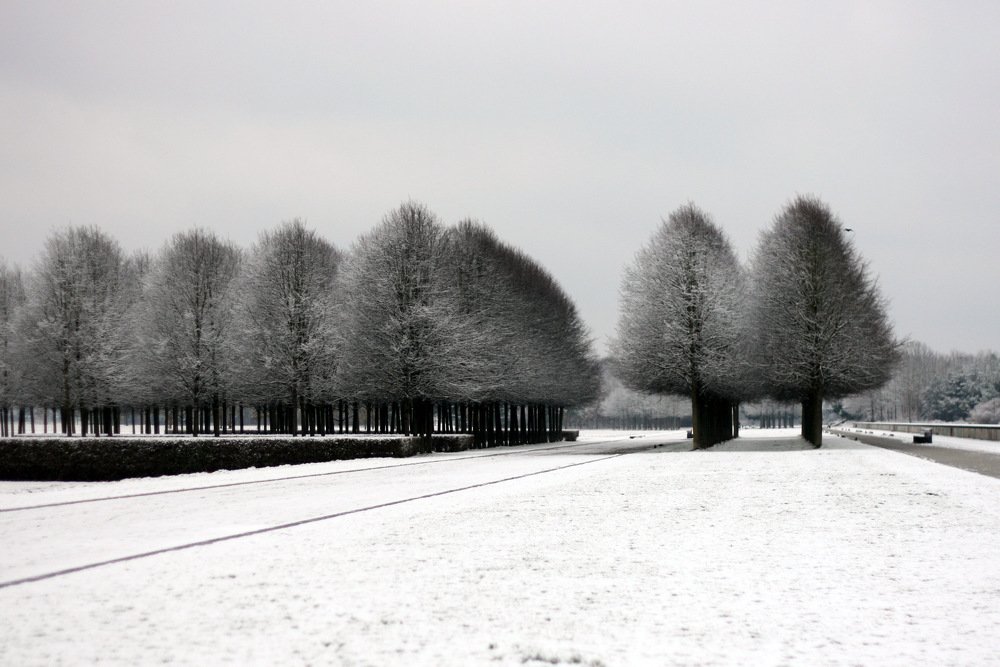 Photograph by Ксения Лаевская