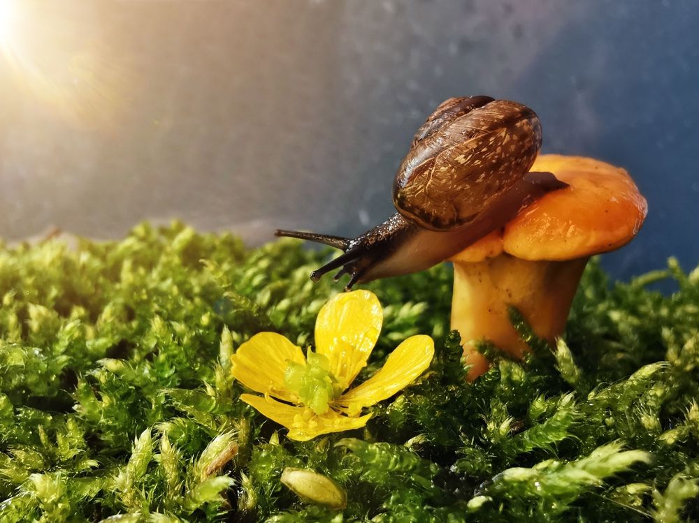 Photograph by Юлия Иванова