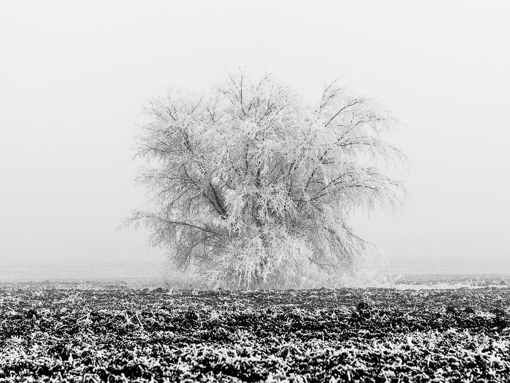 Photograph by Андрей Захаров