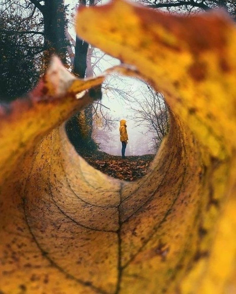 Photograph by Ахмед Кадиев