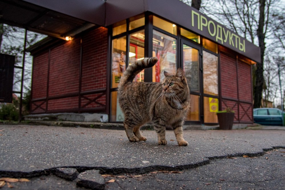 Photograph by Андрей Захаров