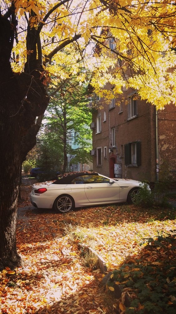 Automun is everywhere