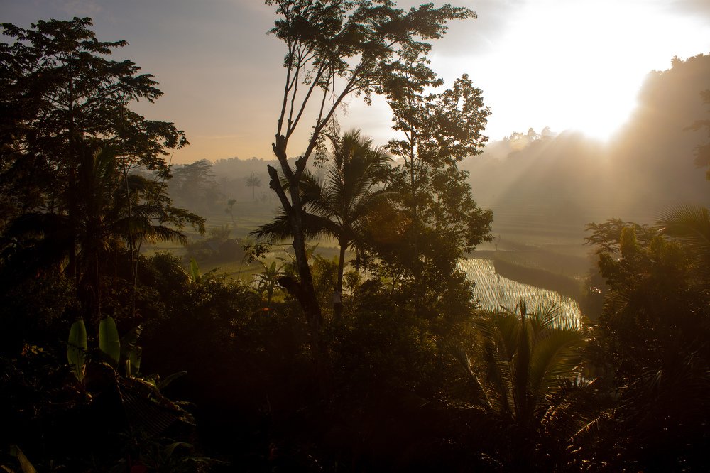 Photograph by Yana Shaforostova