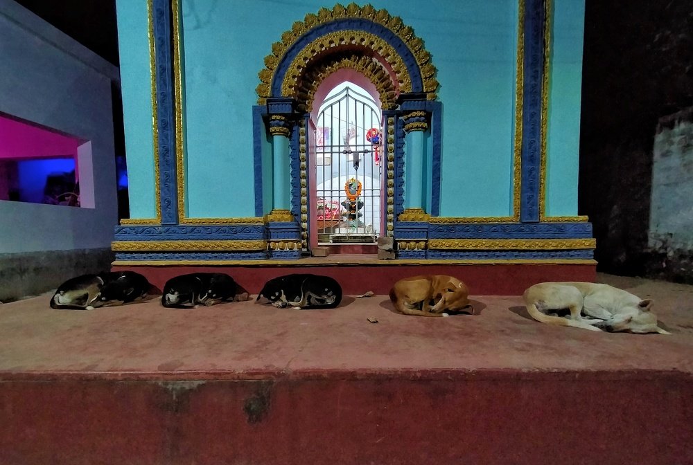 Photograph by Suman Ghosh