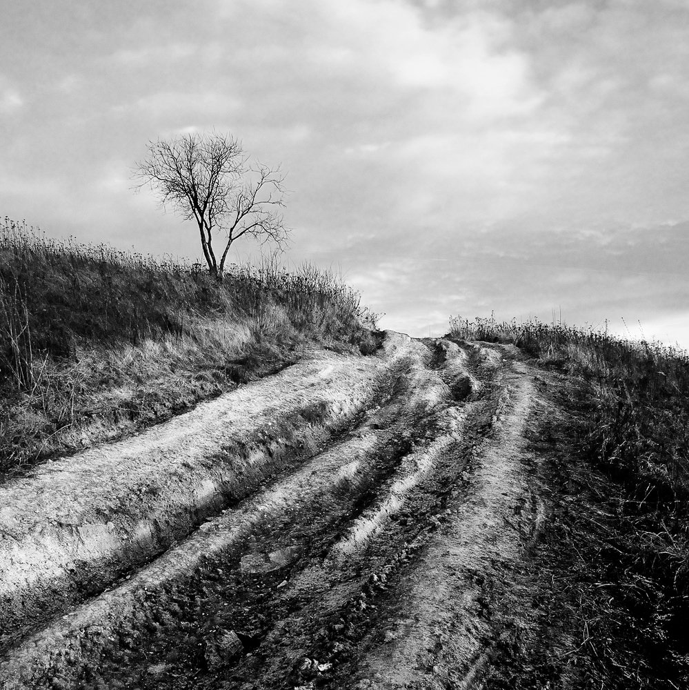 Photograph by Сергей Сережников