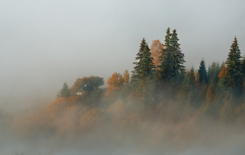 Photograph by Наталия Деркач