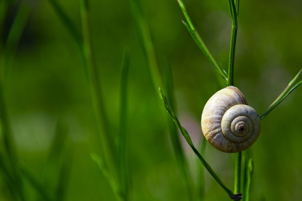 Photograph by Cemal Kaldirim