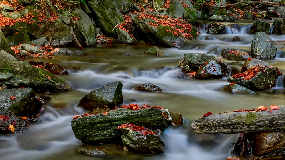 Photograph by Marian Badaluta