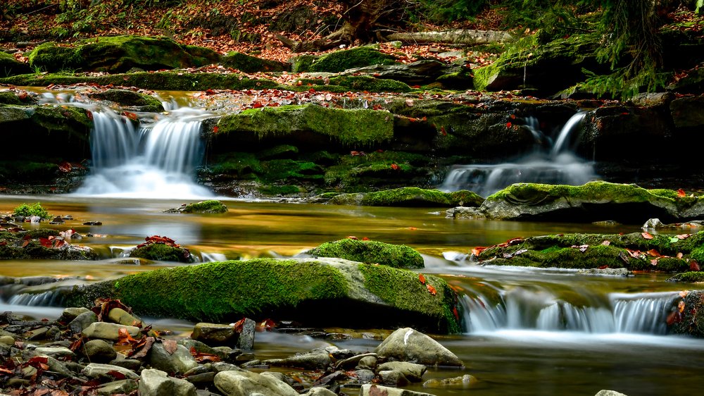 Photograph by Marian Badaluta