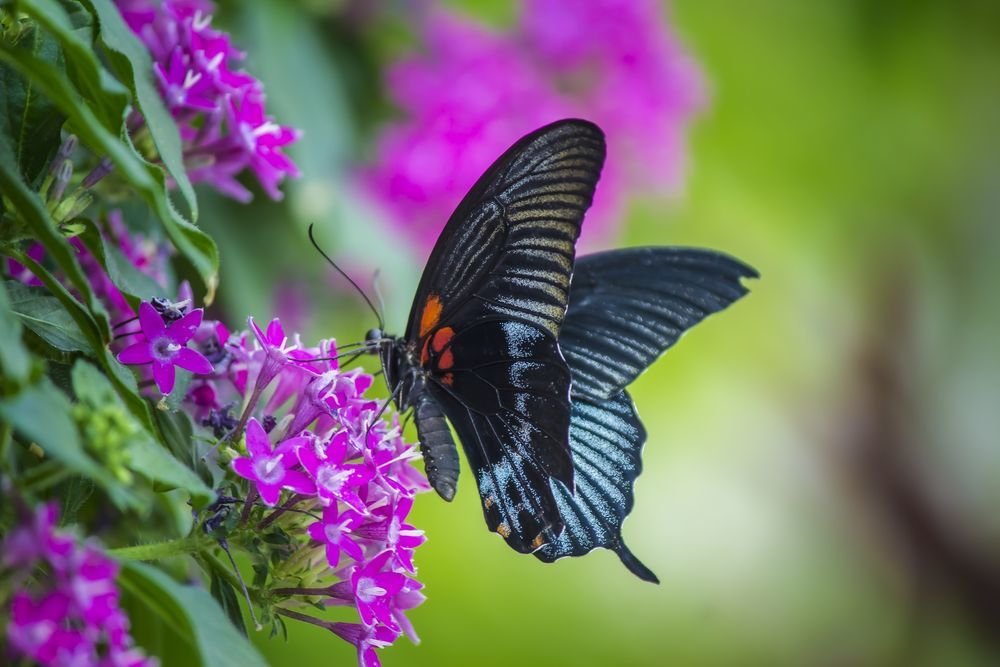 Photograph by Cemal Kaldirim