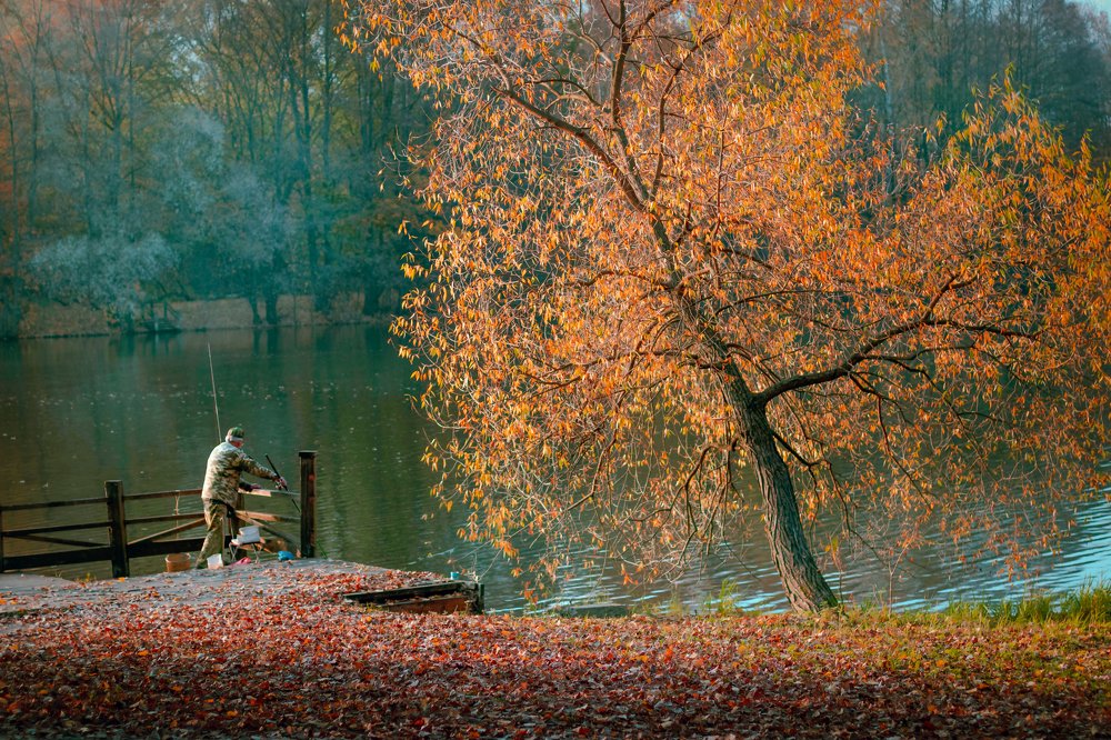 Вечерняя рыбалка