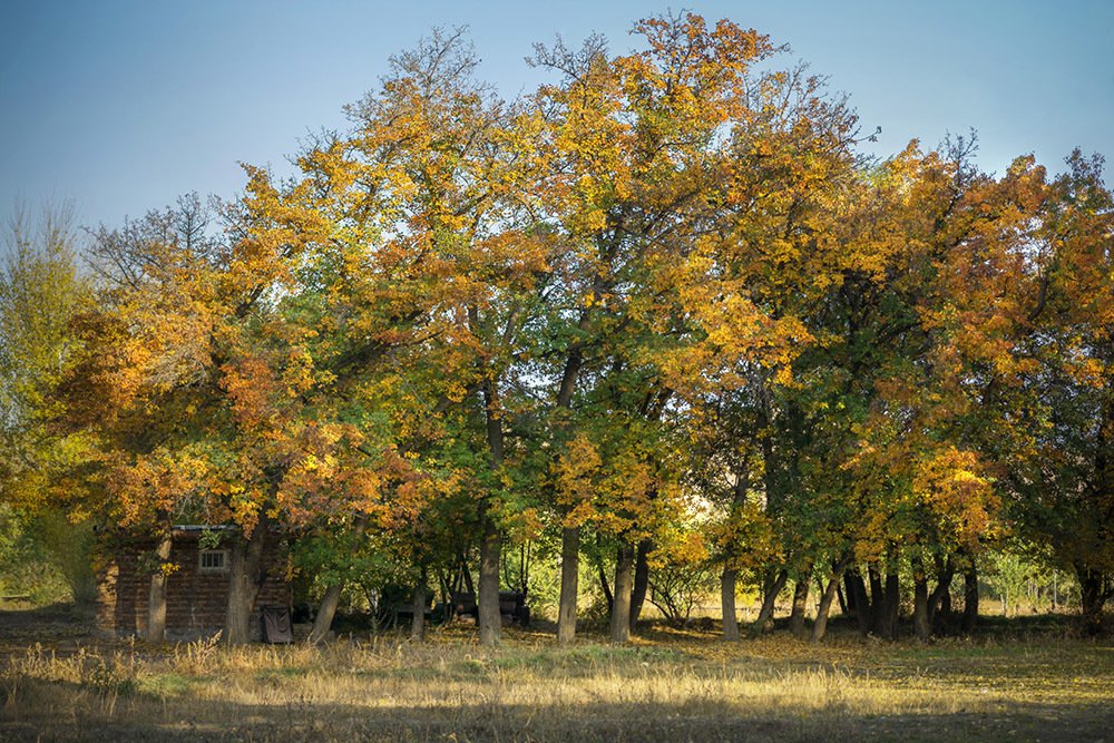 Photograph by Amir Ramezani