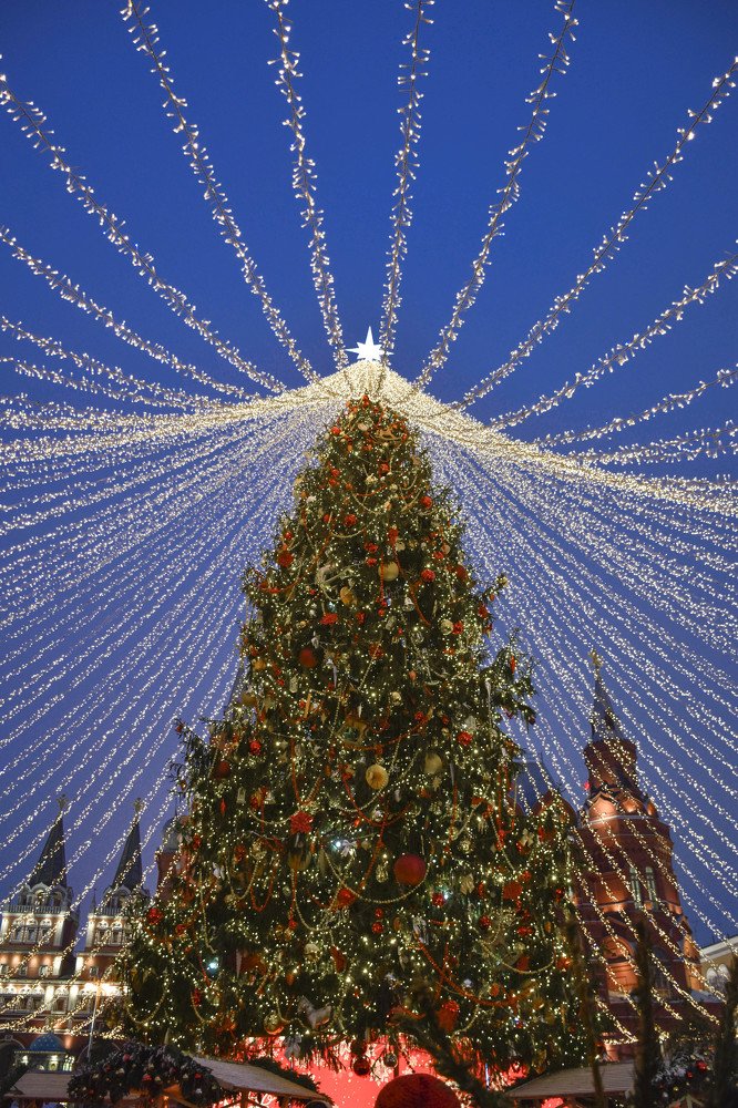 Photograph by Olga Yankus