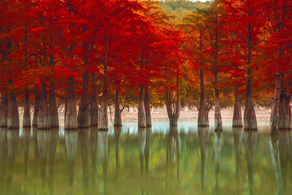 Photograph by Sergey Lexin