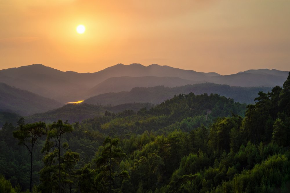 Горные леса