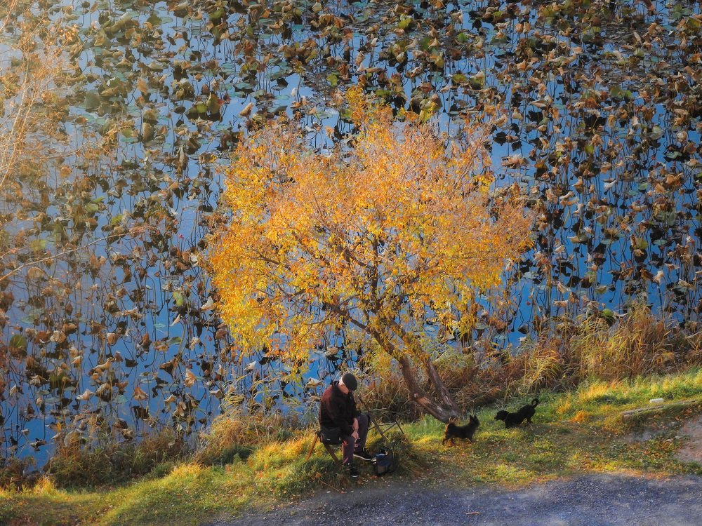 Photograph by Andrey Matveenko