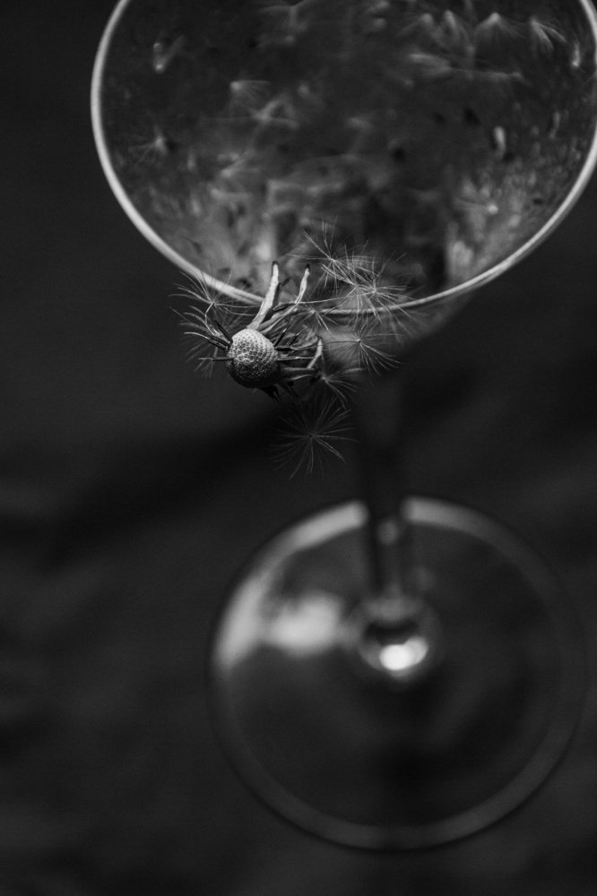 Photograph by Ирина Степанова