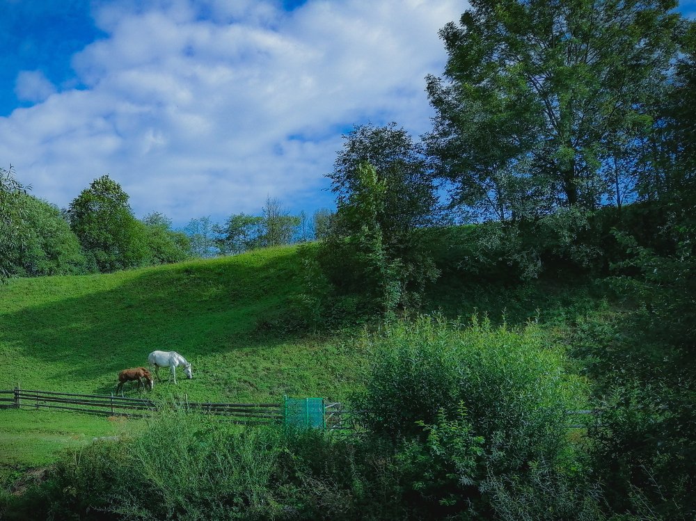 Photograph by Илья Гореньков