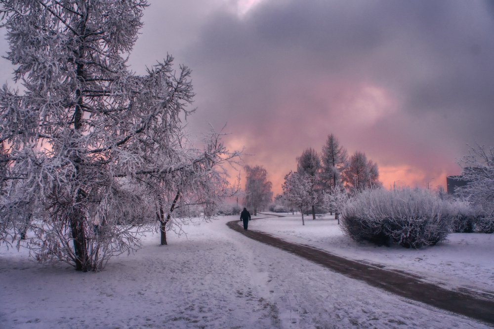 Photograph by Александр Пургин