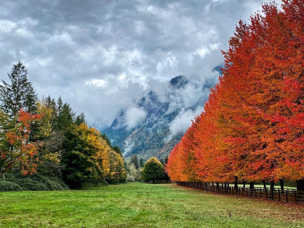 Photograph by Nikolay Gorbatenko