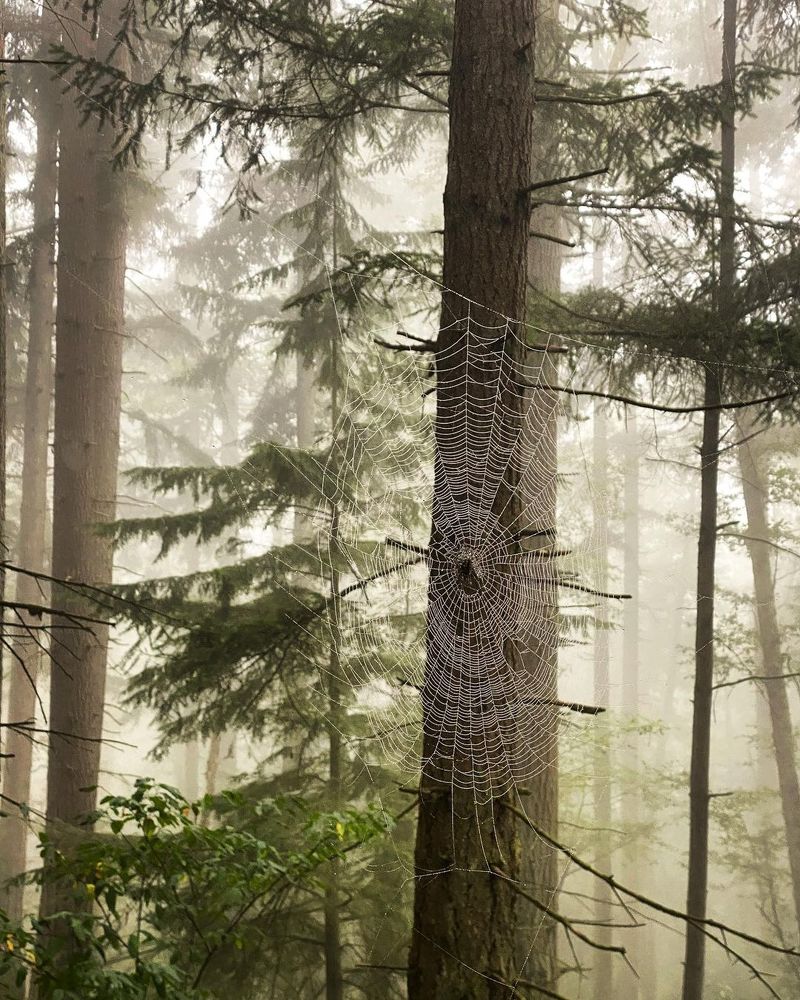 Photograph by Nikolay Gorbatenko