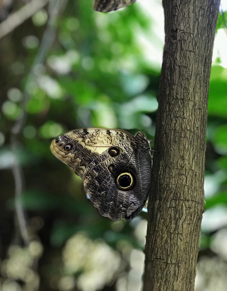 Photograph by Кристина