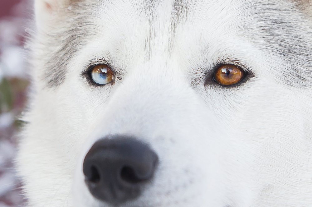 Photograph by Виктория Мамаева