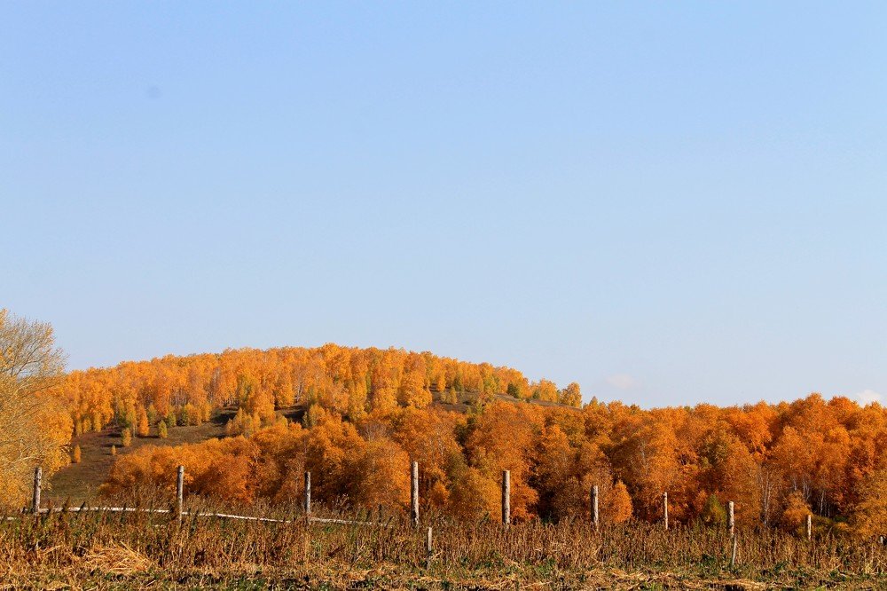 Photograph by Татьяна Перегудова