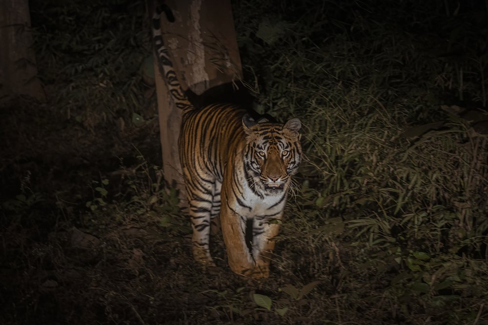 Photograph by Smita Behera