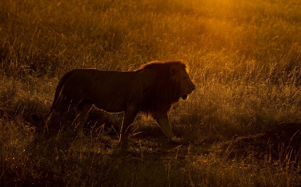 Photograph by Smita Behera