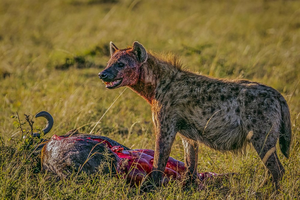 Photograph by Smita Behera