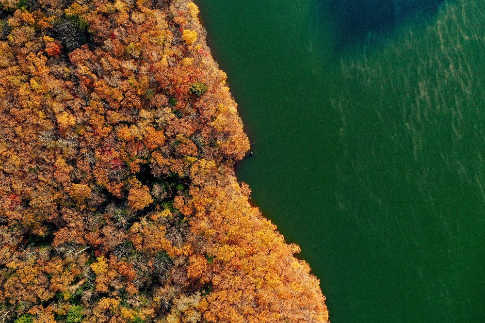 Граница/ The border