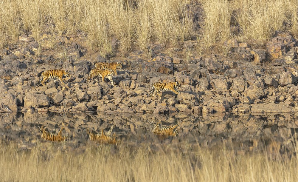 Photograph by Smita Behera