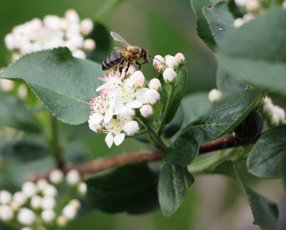 Photograph by Владимир Каверин