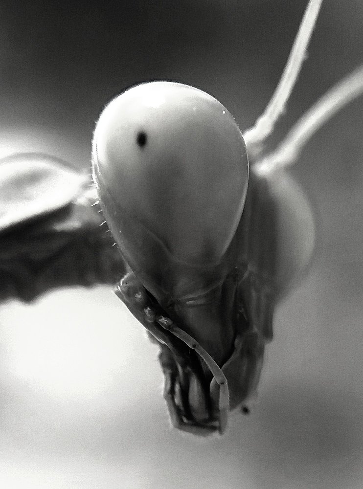 Photograph by Kapil Singh