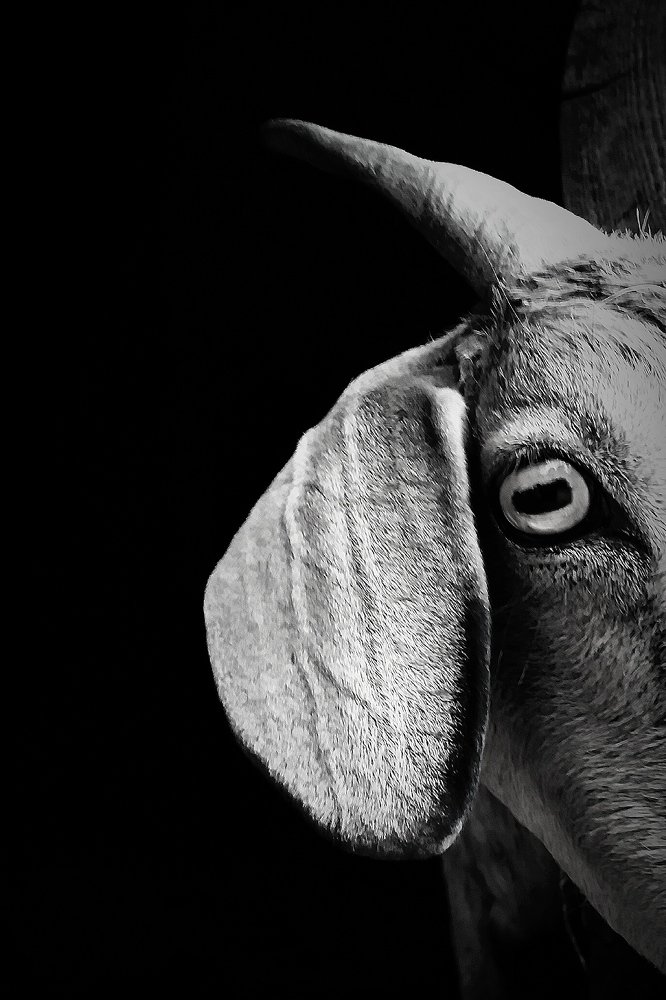 Photograph by Kapil Singh