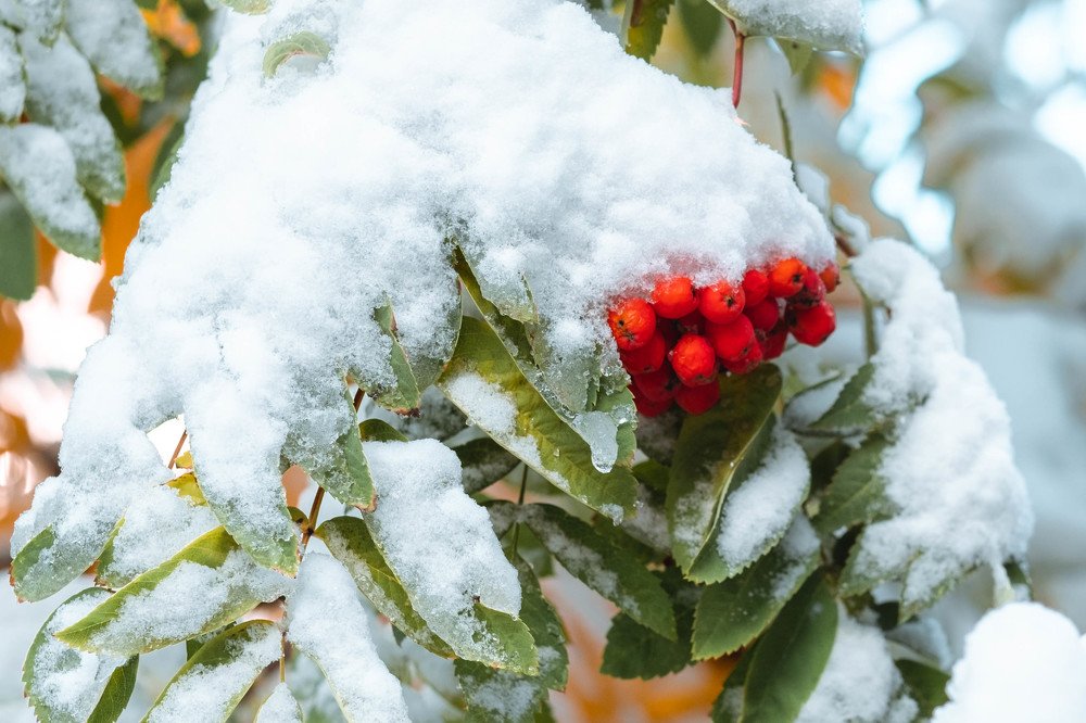 Photograph by Татьяна Ефименко