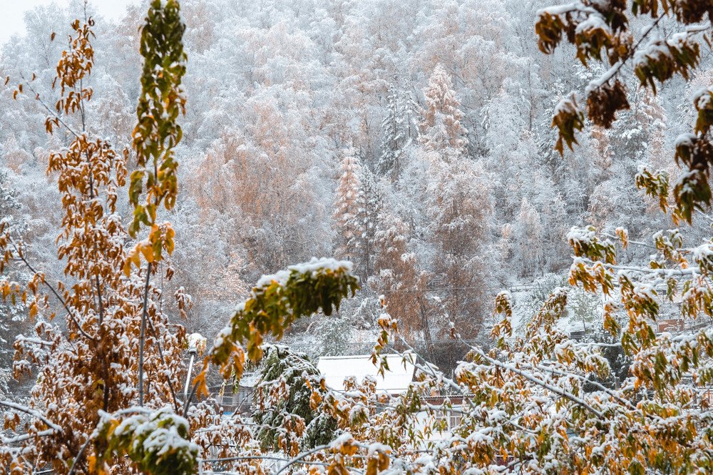 Photograph by Татьяна Ефименко