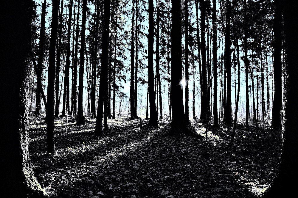 Photograph by Alvydas Baltakis