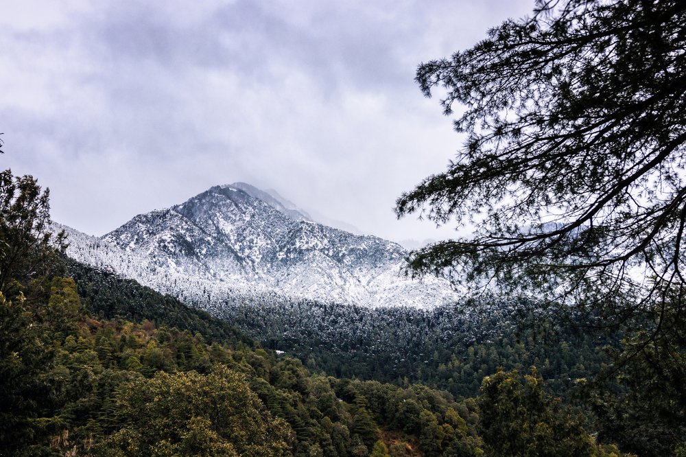 Photograph by Somjit Ghosh