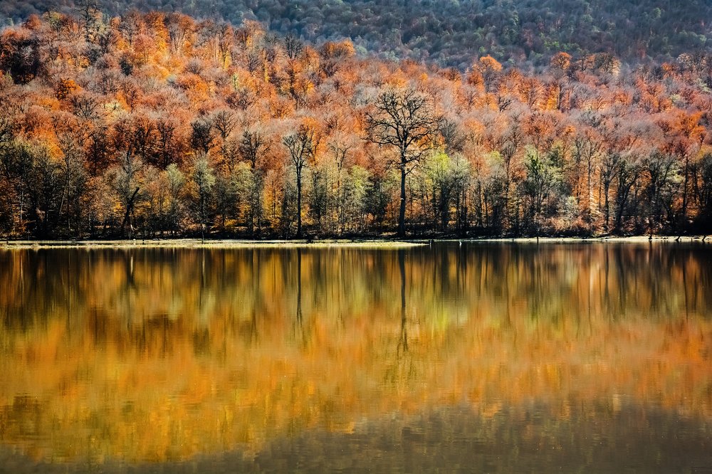 Photograph by Bayazidi Michael