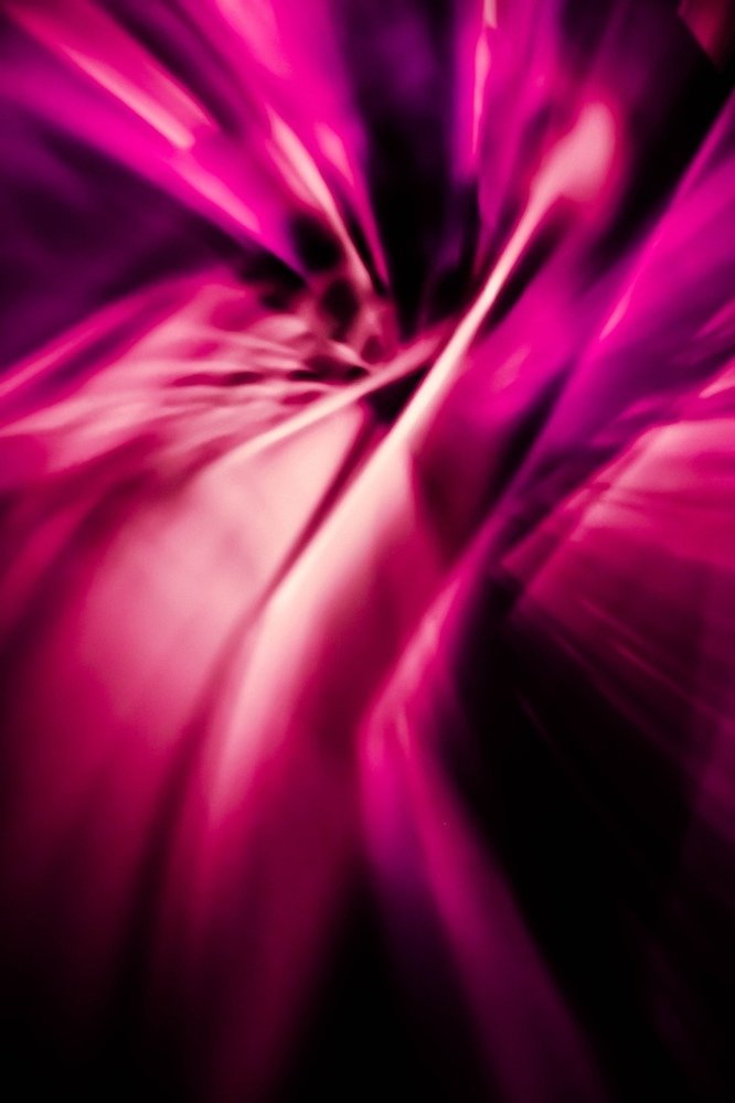 VIOLET#1.1