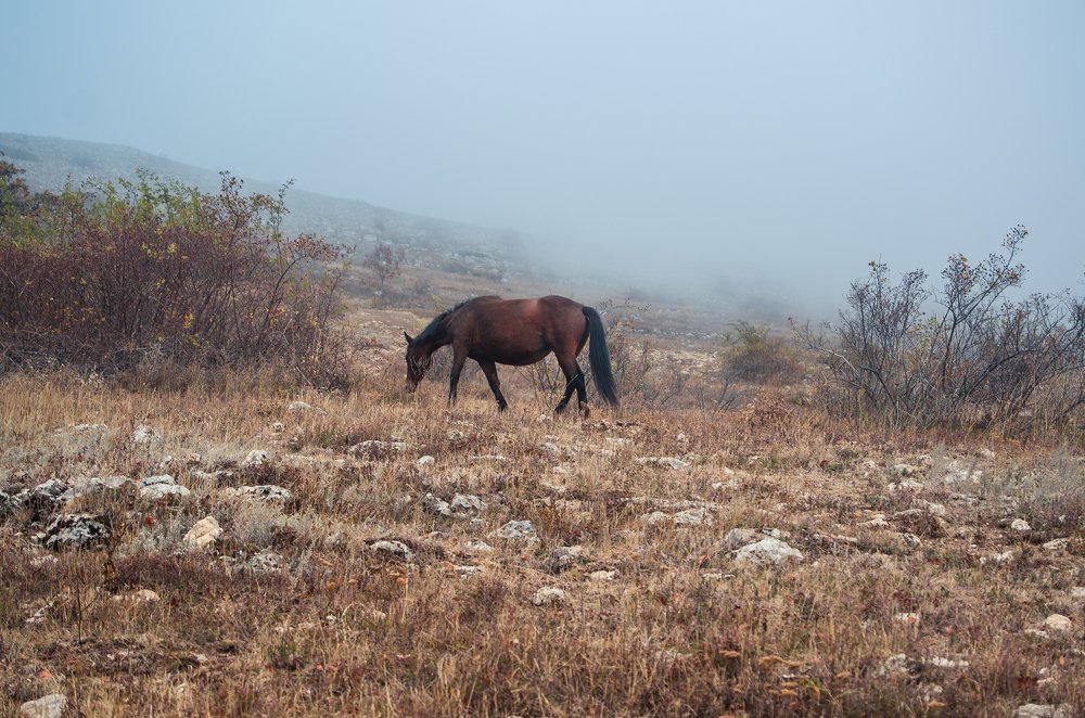 Photograph by Lerka Sonne