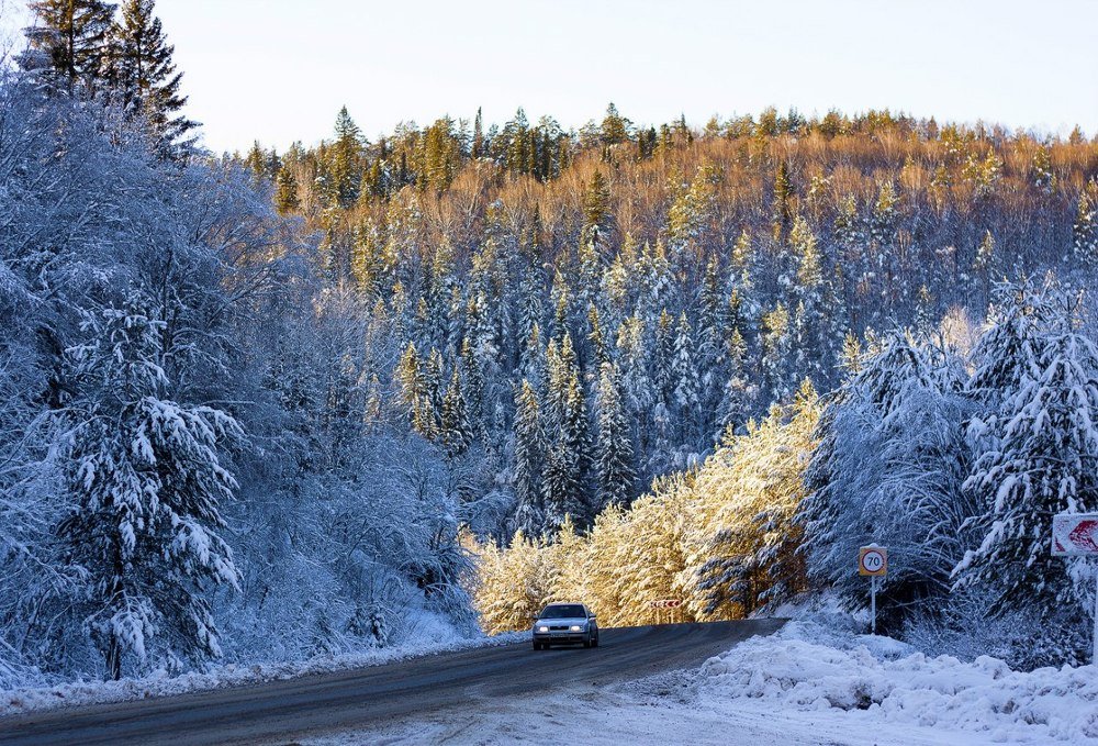 Photograph by Ольга Мажарук