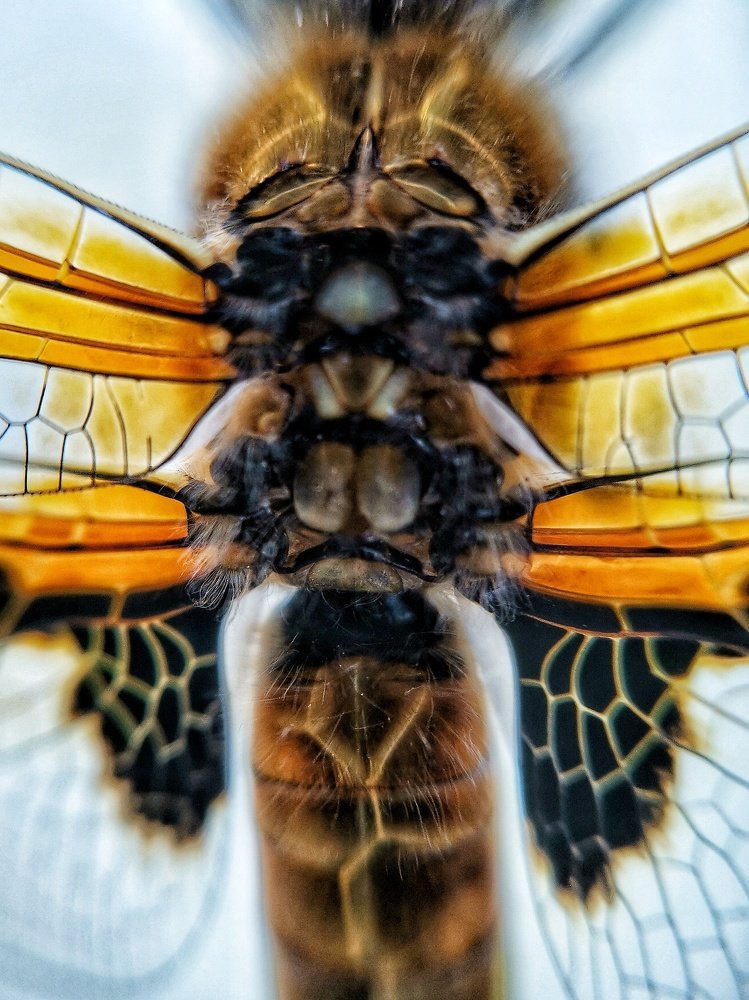 Photograph by Ольга Мажарук